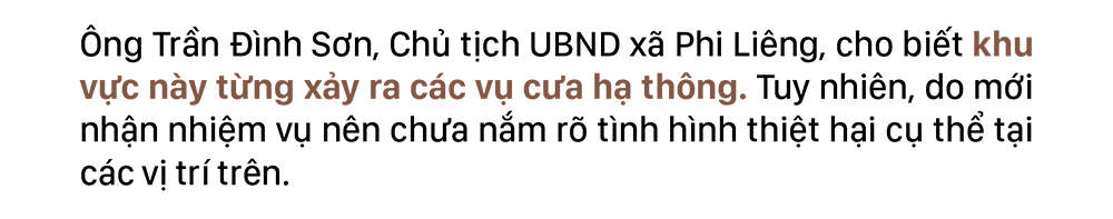 Xót xa rừng thông bị cưa hạ hàng loạt ảnh 10