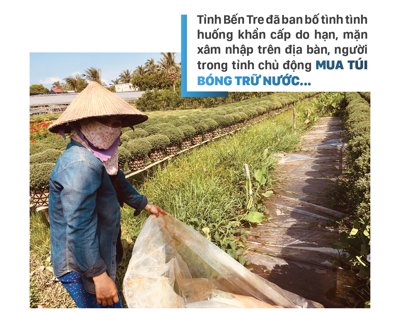 Thiếu nước ngọt và cách ứng phó của người dân ĐBSCL ảnh 8