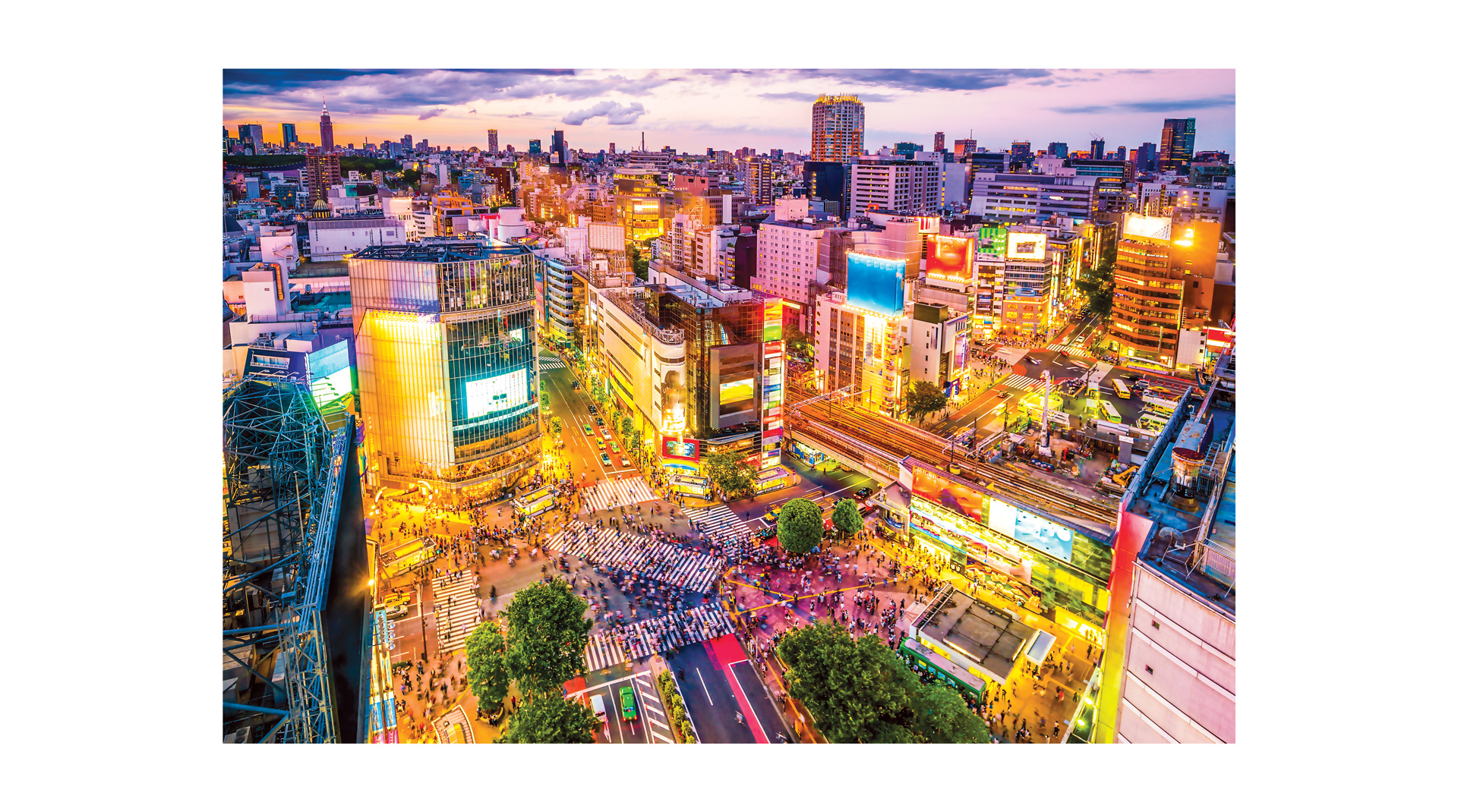 Những khu phố độc đáo và hiện đại tại Tokyo ảnh 1