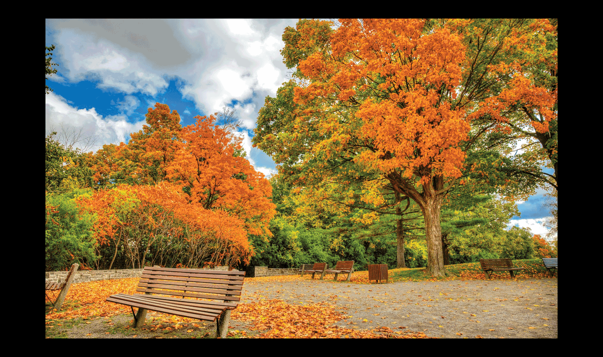 Sắc thu ảo diệu Canada ảnh 3