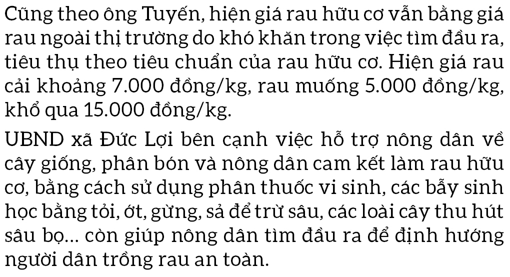Nông dân tự làm bẫy sinh học, trừ sâu thảo mộc để trồng rau hữu cơ ảnh 15