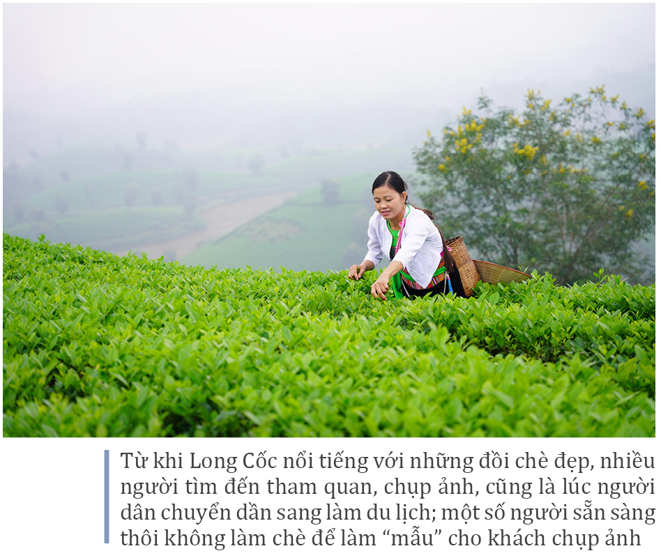 Đồi chè Long Cốc đẹp huyền ảo trong sương mờ ảnh 13