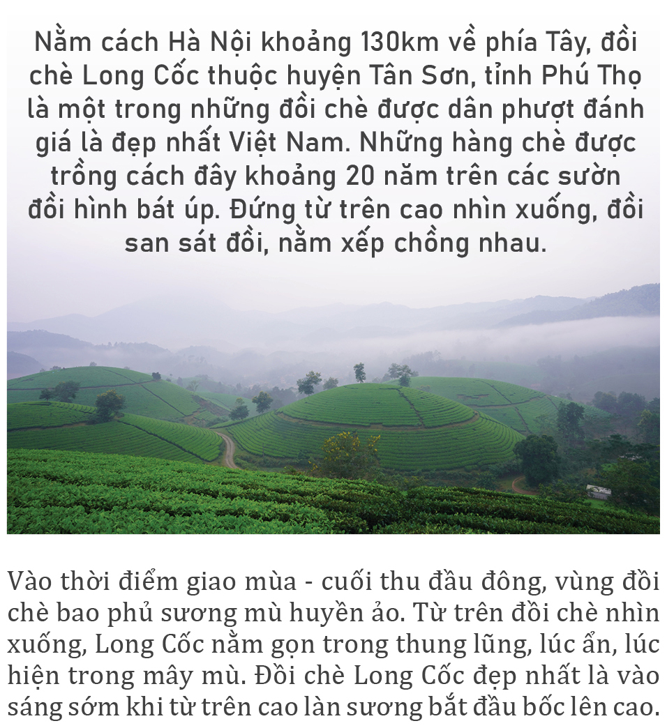 Đồi chè Long Cốc đẹp huyền ảo trong sương mờ ảnh 1
