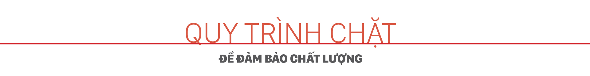 Khắc phục tình trạng 'nhạt Đảng' trong sinh viên - Bài 1: Gieo mầm những 'Hạt giống đỏ' ảnh 4
