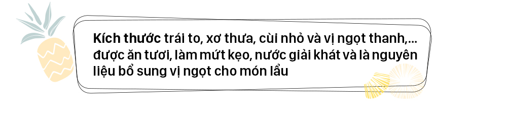 Trứ danh khóm Cầu Đúc ở Hậu Giang ảnh 5