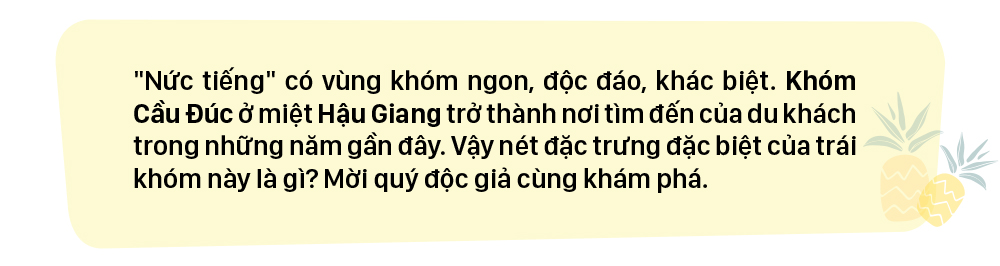 Trứ danh khóm Cầu Đúc ở Hậu Giang ảnh 1