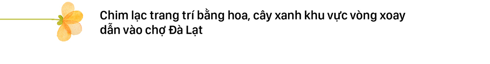 Đà Lạt rộn ràng chuẩn bị Festival hoa ảnh 7