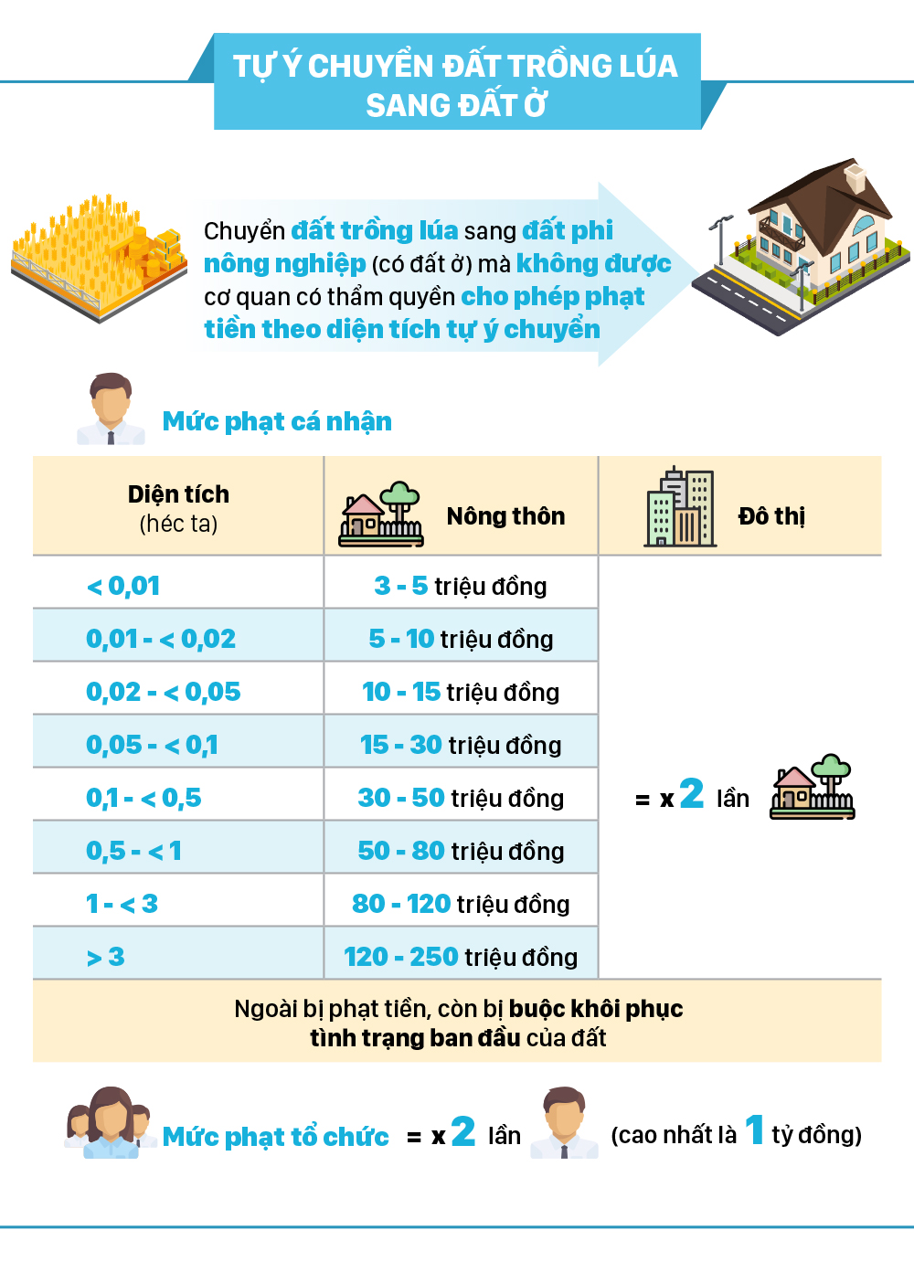 Tự ý chuyển đất trồng lúa sang đất ở phạt tiền tới 1 tỷ đồng ảnh 2