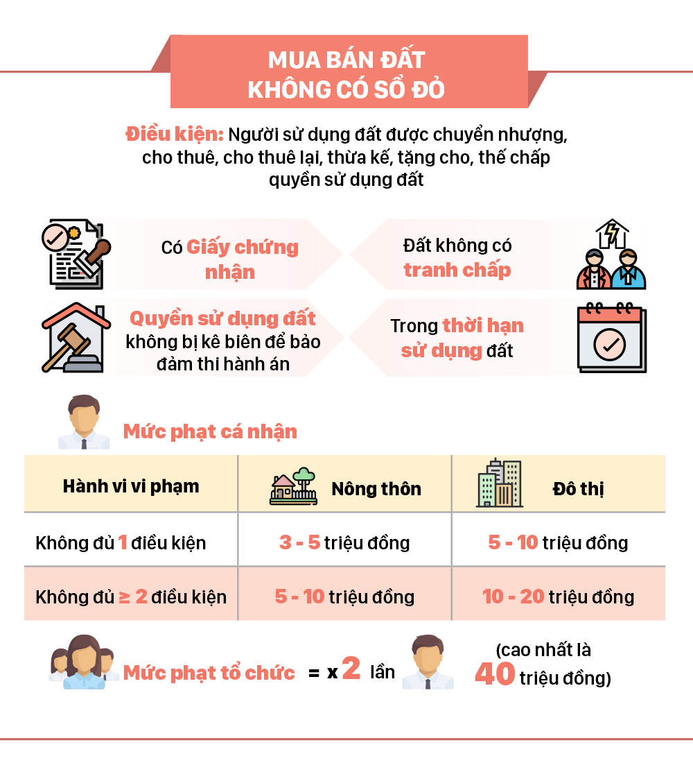 Tự ý chuyển đất trồng lúa sang đất ở phạt tiền tới 1 tỷ đồng ảnh 3
