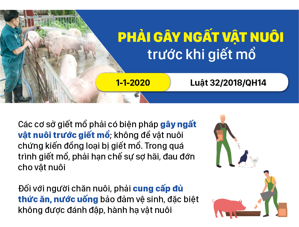 Những chính sách có hiệu lực từ tháng 1-2020 ảnh 6