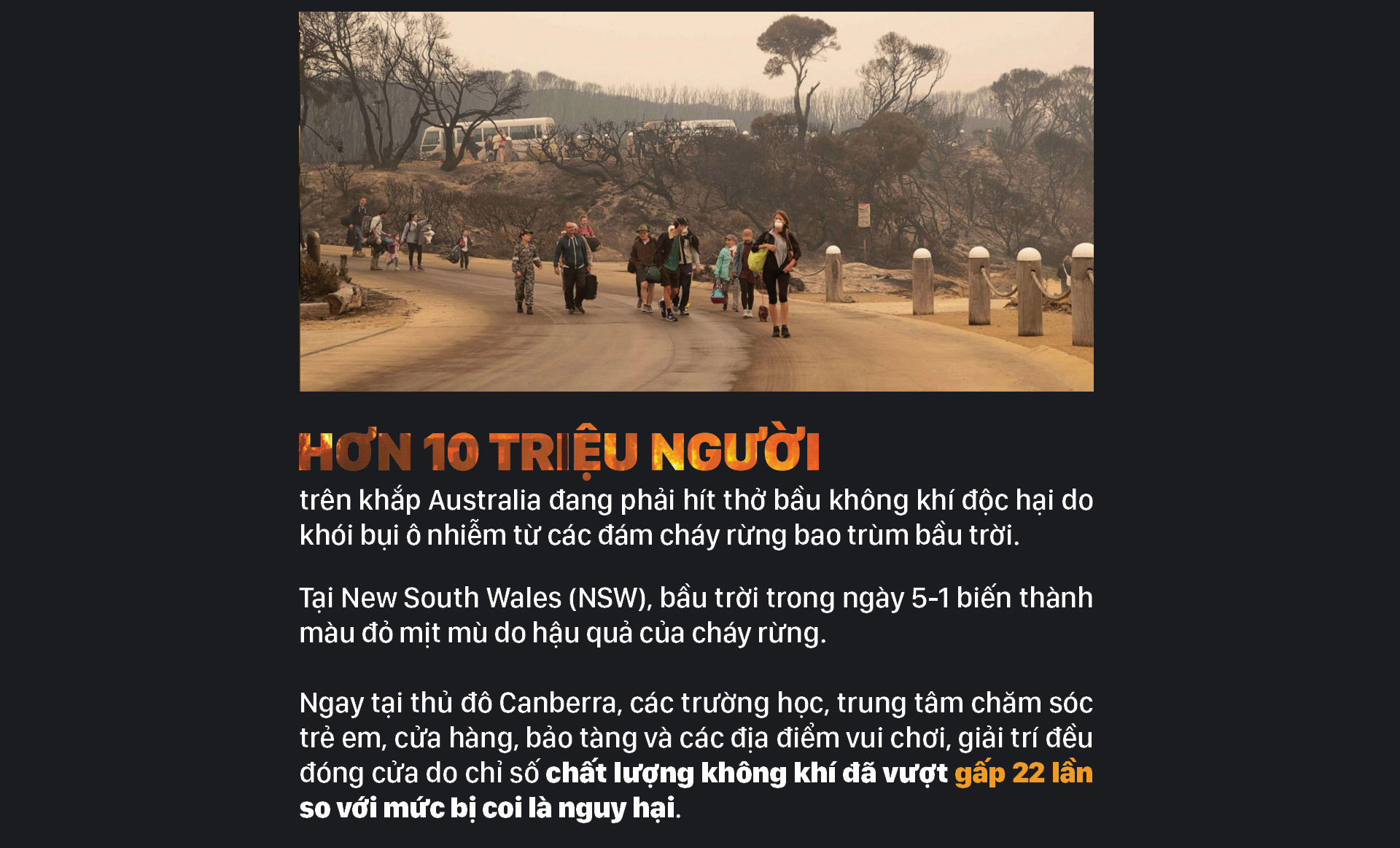 Australia 'oằn lưng' chống chọi thảm họa cháy rừng ảnh 4