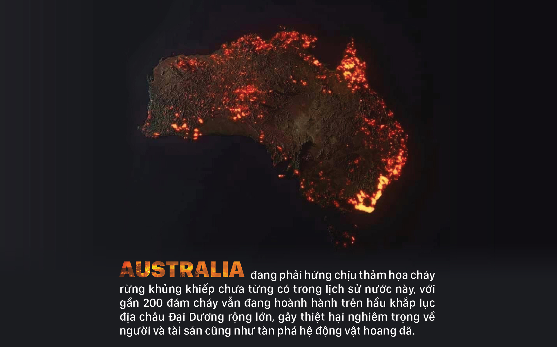 Australia 'oằn lưng' chống chọi thảm họa cháy rừng ảnh 1