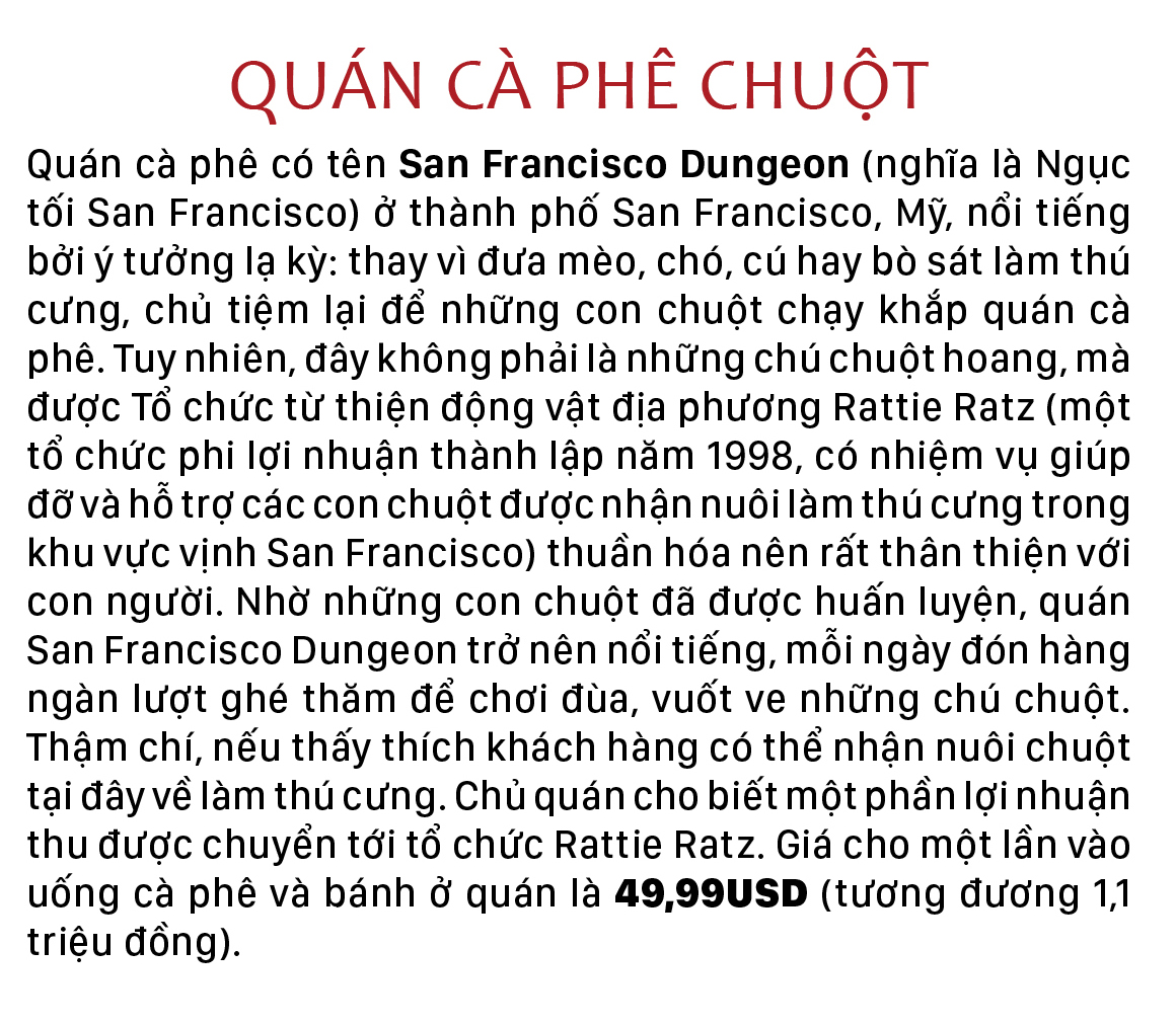 Năm Tý bàn chuyện lạ về chuột ảnh 2