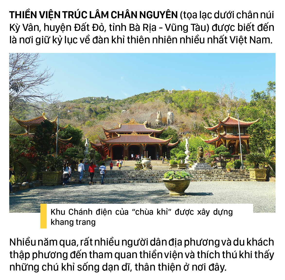 Đàn khỉ sống thân thiện với con người dưới chân núi Kỳ Vân ảnh 1