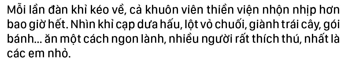 Đàn khỉ sống thân thiện với con người dưới chân núi Kỳ Vân ảnh 12