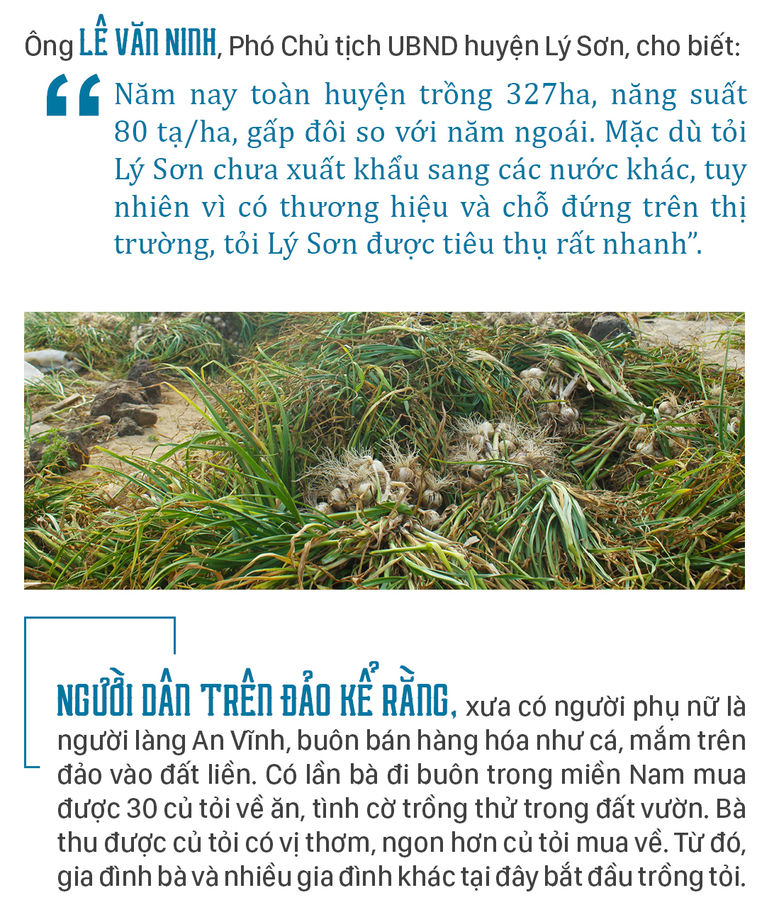 Độc đáo phiên chợ tỏi ảnh 11