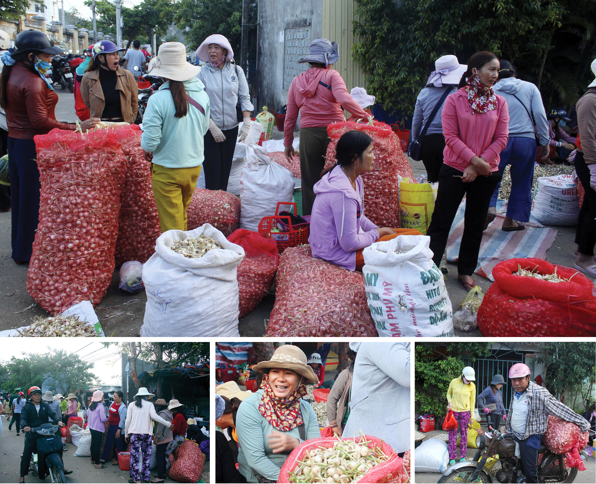 Độc đáo phiên chợ tỏi ảnh 6