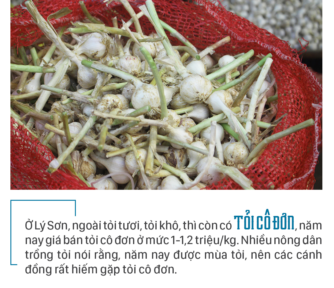 Độc đáo phiên chợ tỏi ảnh 9