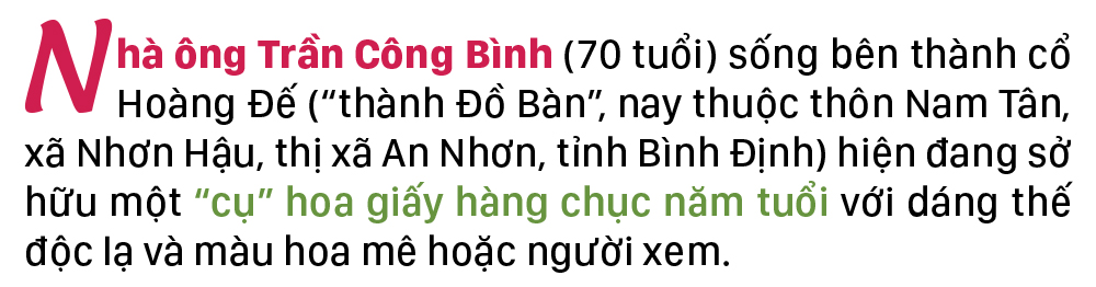 Ngắm 'cụ giấy' độc nhất vô nhị bên thành cổ ảnh 1