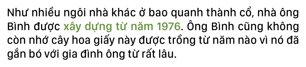 Ngắm 'cụ giấy' độc nhất vô nhị bên thành cổ ảnh 3