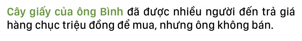 Ngắm 'cụ giấy' độc nhất vô nhị bên thành cổ ảnh 7