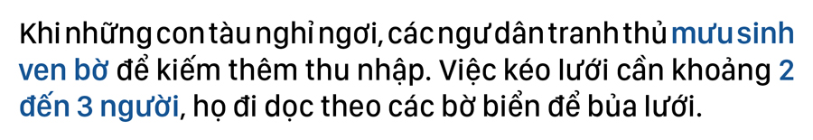 Xem ngư dân kéo lưới bắt cá dọc bờ biển ảnh 3