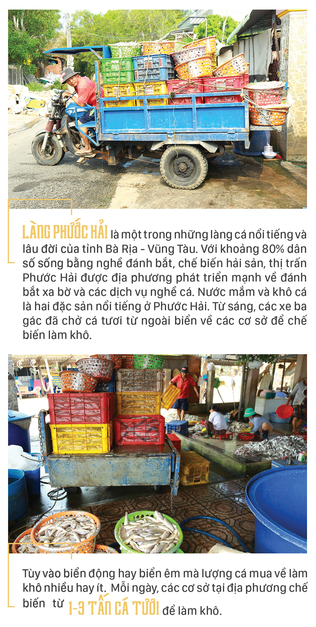 Làng chài Phước Hải tất bật xẻ cá làm khô đặc sản ảnh 2