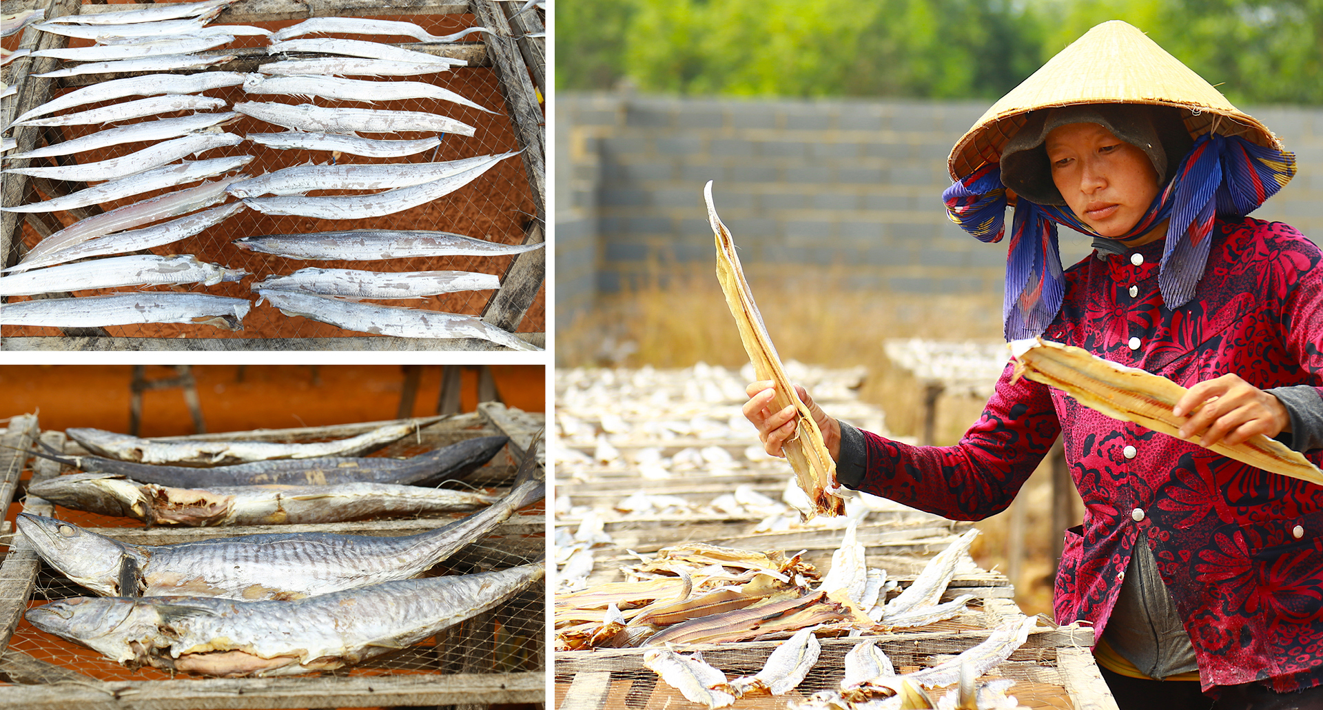 Làng chài Phước Hải tất bật xẻ cá làm khô đặc sản ảnh 14