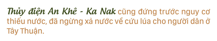 Nông dân vật lộn với khô hạn, thiếu nước ảnh 15