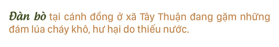 Nông dân vật lộn với khô hạn, thiếu nước ảnh 17