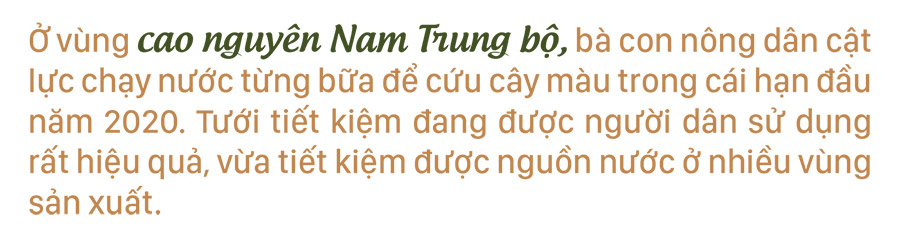 Nông dân vật lộn với khô hạn, thiếu nước ảnh 19