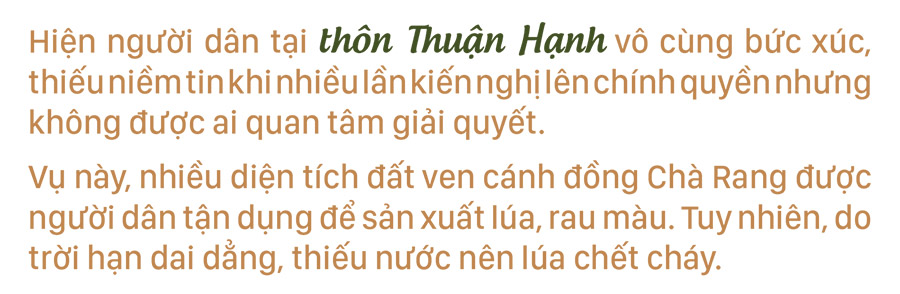 Nông dân vật lộn với khô hạn, thiếu nước ảnh 7