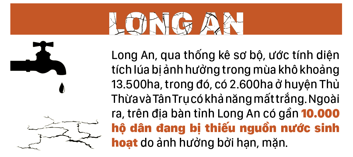 Người dân ĐBSCL oằn mình chống chọi với hạn mặn ảnh 14