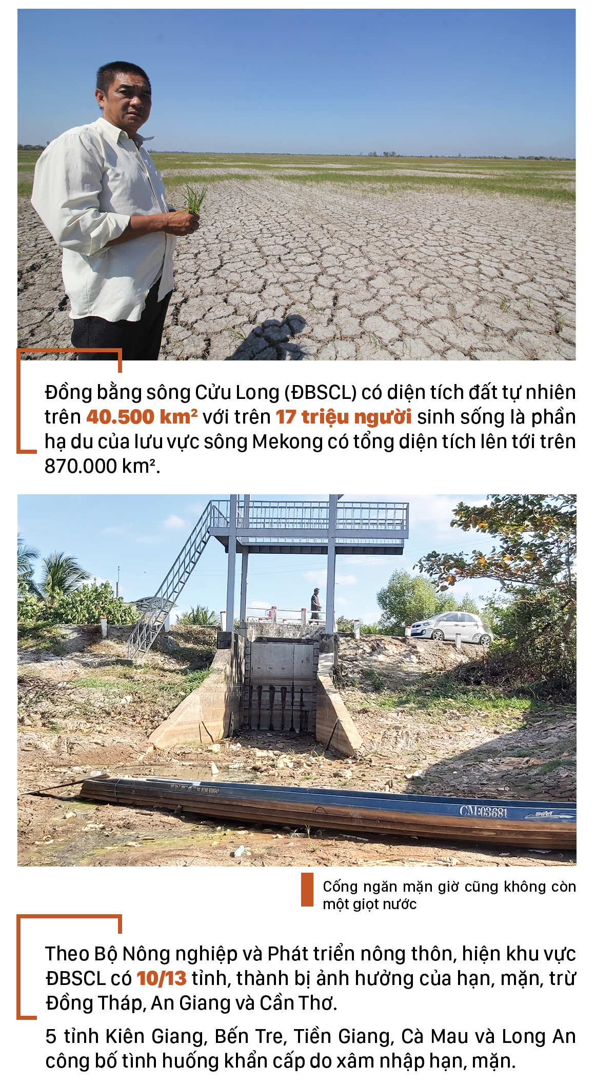 Người dân ĐBSCL oằn mình chống chọi với hạn mặn ảnh 2