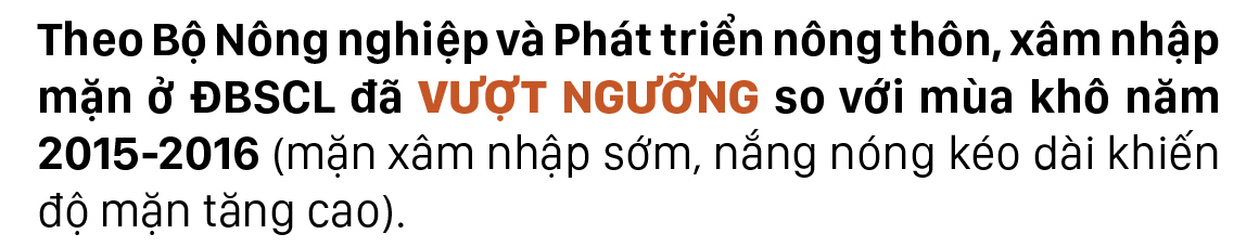 Người dân ĐBSCL oằn mình chống chọi với hạn mặn ảnh 1