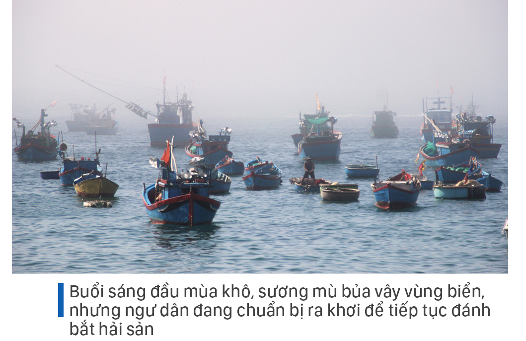 Săn tôm hùm biển kiếm bạc triệu mỗi ngày ảnh 15