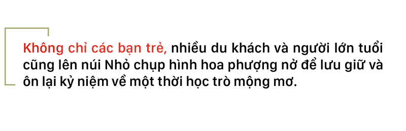 Phượng vĩ đỏ rực đường lên ngọn Hải Đăng ảnh 17