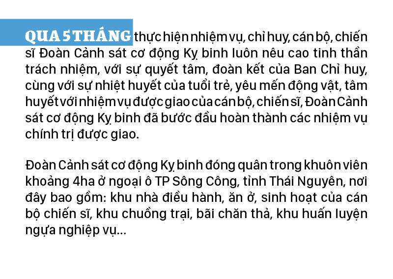 Cảnh sát cơ động Kỵ binh huấn luyện ngựa nghiệp vụ ảnh 6