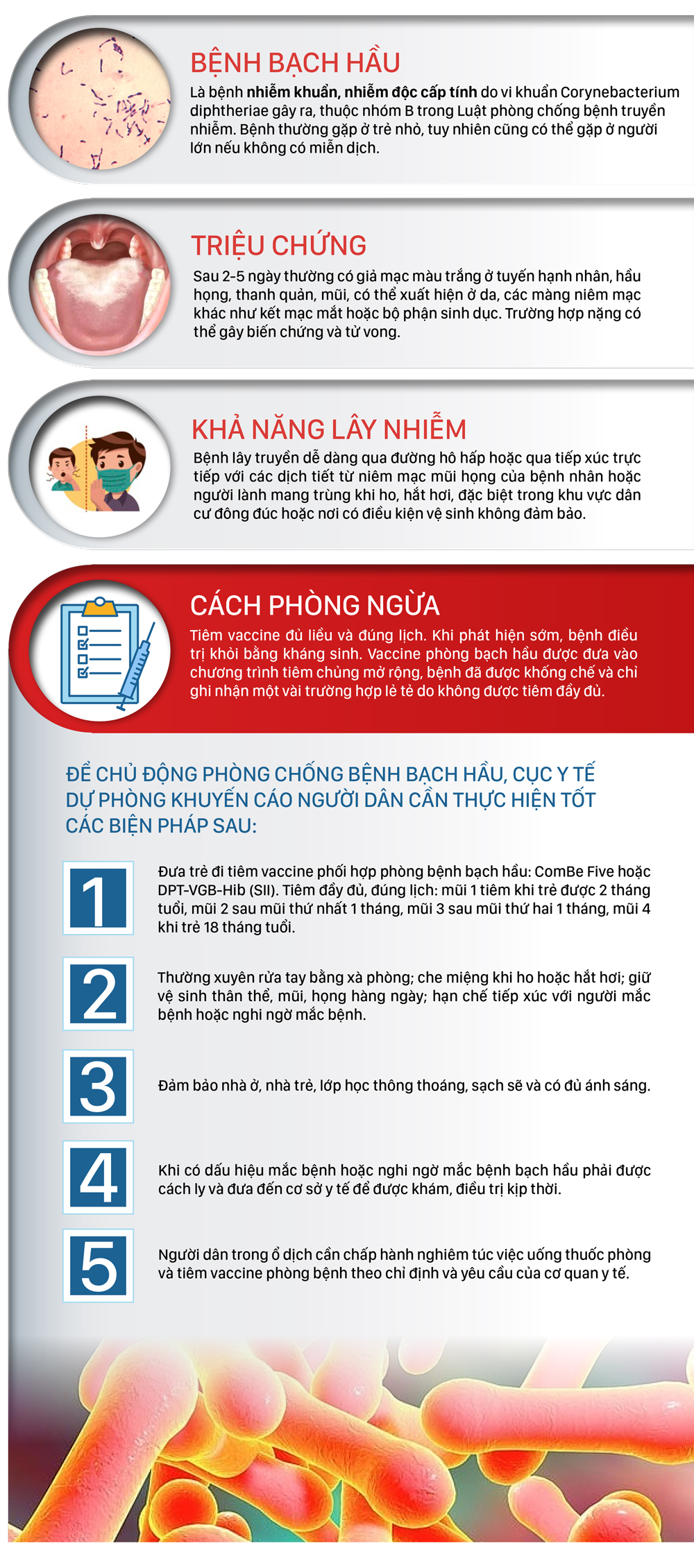 Bệnh bạch hầu triệu chứng và cách phòng ngừa ảnh 1