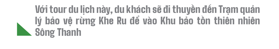 Trải nghiệm du lịch bảo vệ rừng ảnh 9