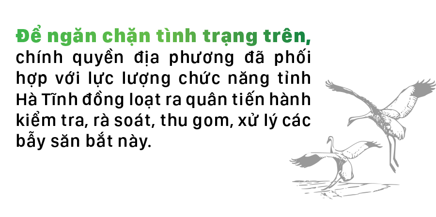 Hà Tĩnh đồng loạt truy quét ngăn nạn bẫy chim trời ảnh 4