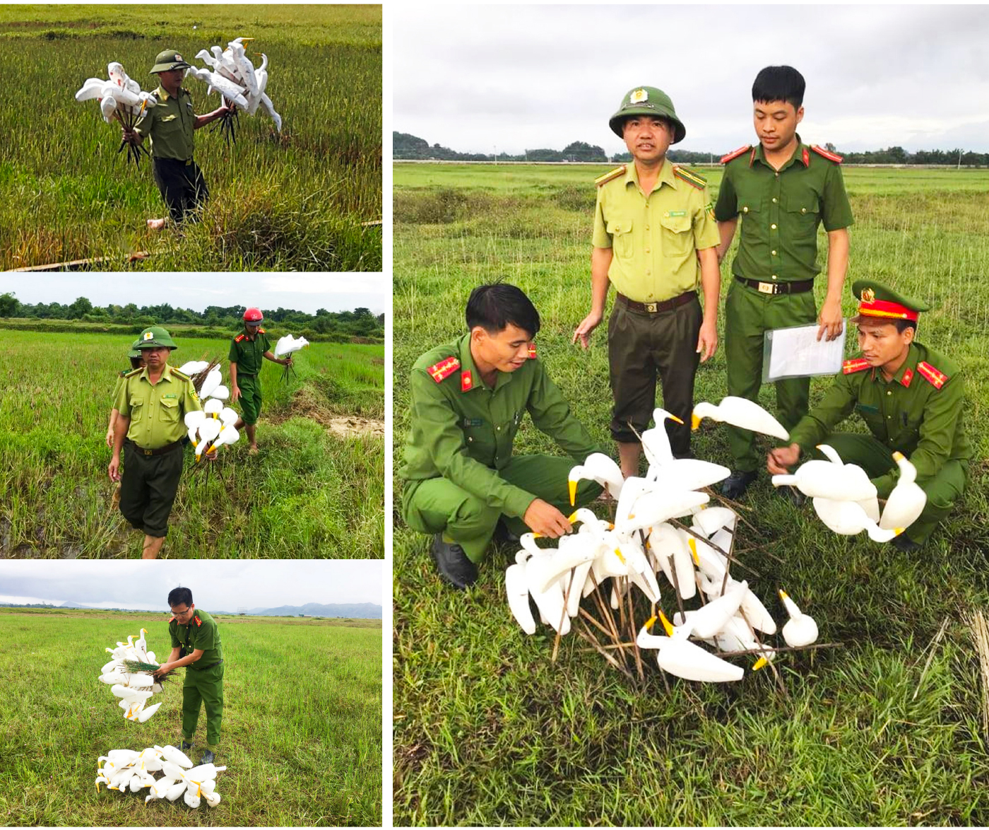 Hà Tĩnh đồng loạt truy quét ngăn nạn bẫy chim trời ảnh 7