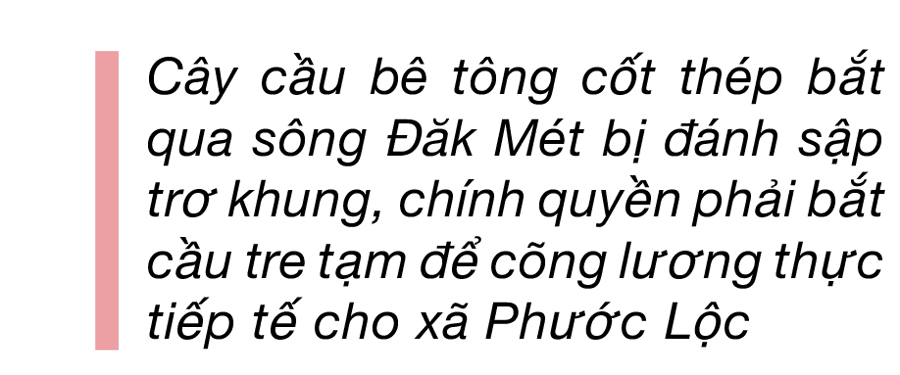 Phước Lộc toang hoang sau bão ảnh 14