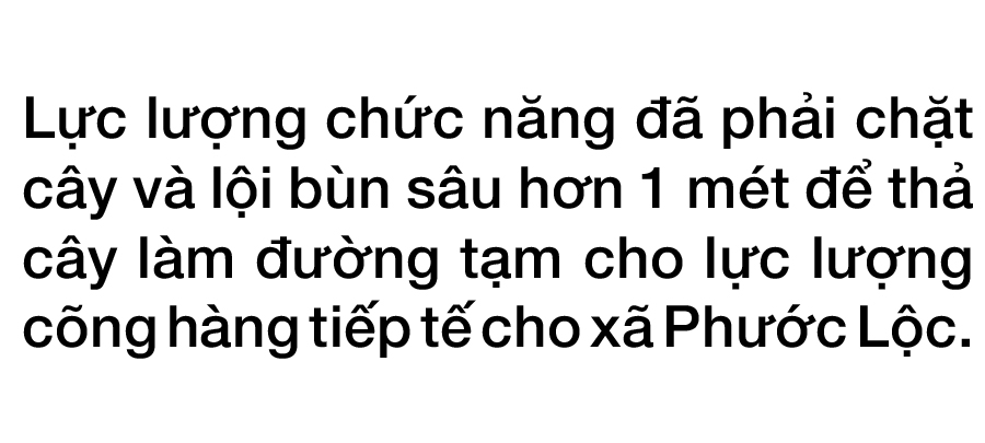 Phước Lộc toang hoang sau bão ảnh 16