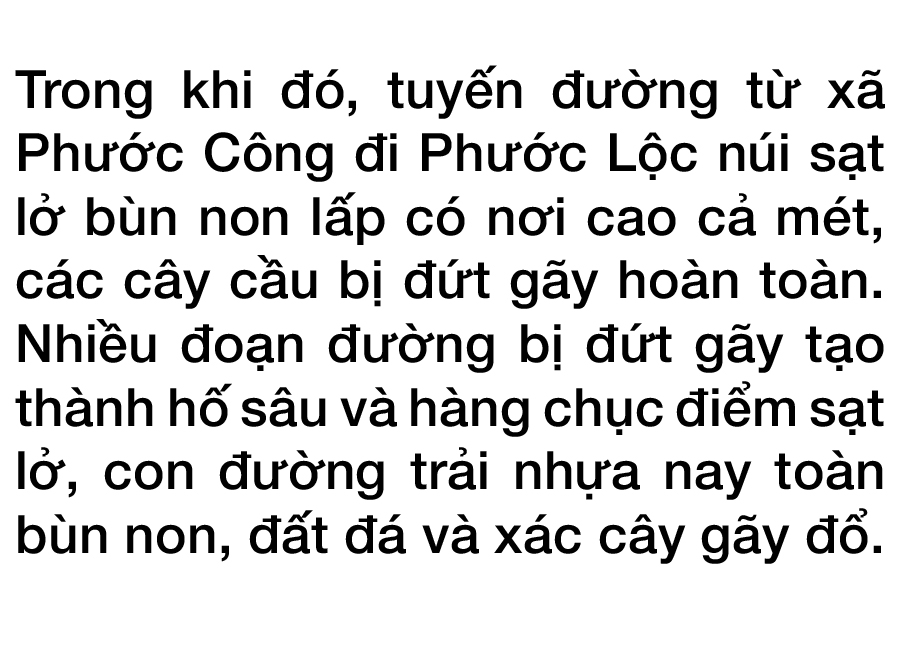 Phước Lộc toang hoang sau bão ảnh 8