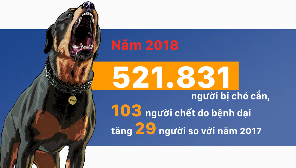 Hiểm họa chó tấn công người ảnh 2