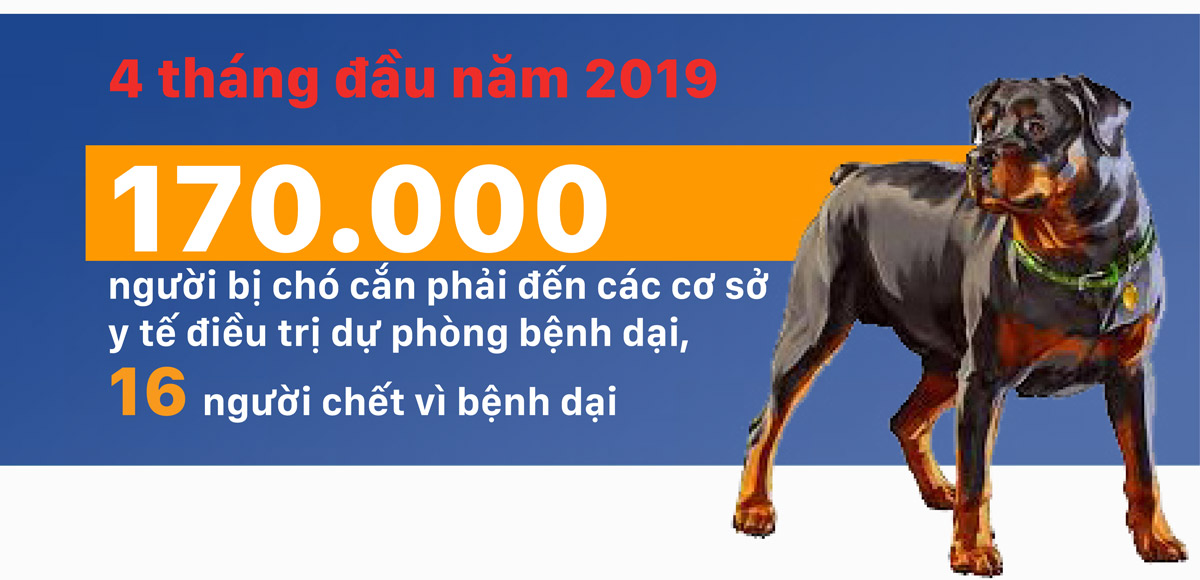 Hiểm họa chó tấn công người ảnh 3