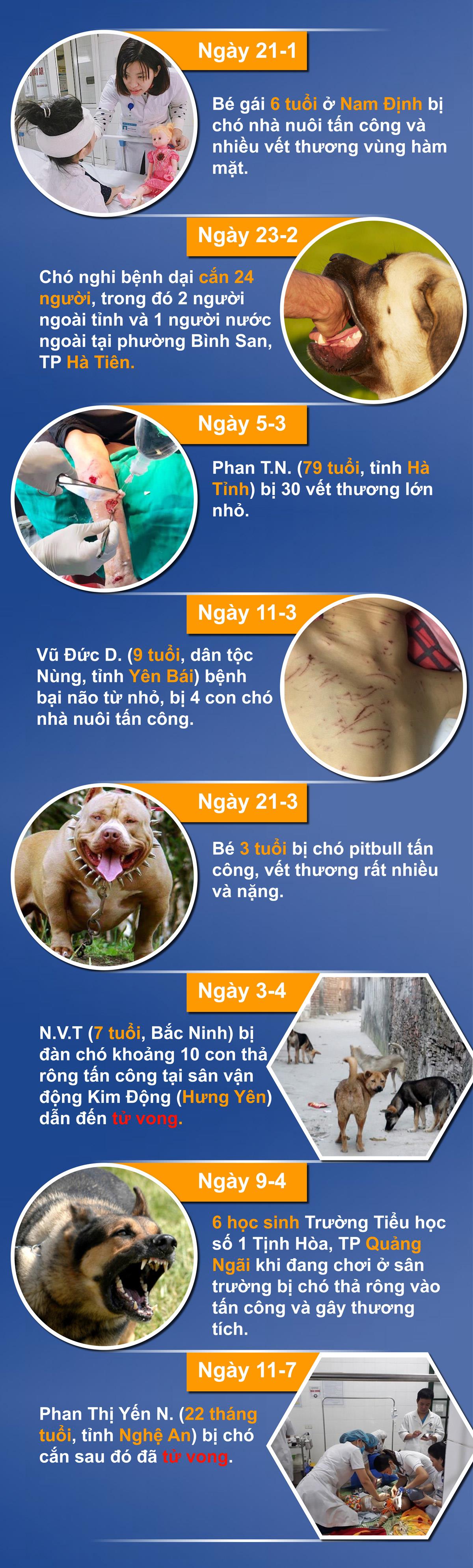 Hiểm họa chó tấn công người ảnh 4