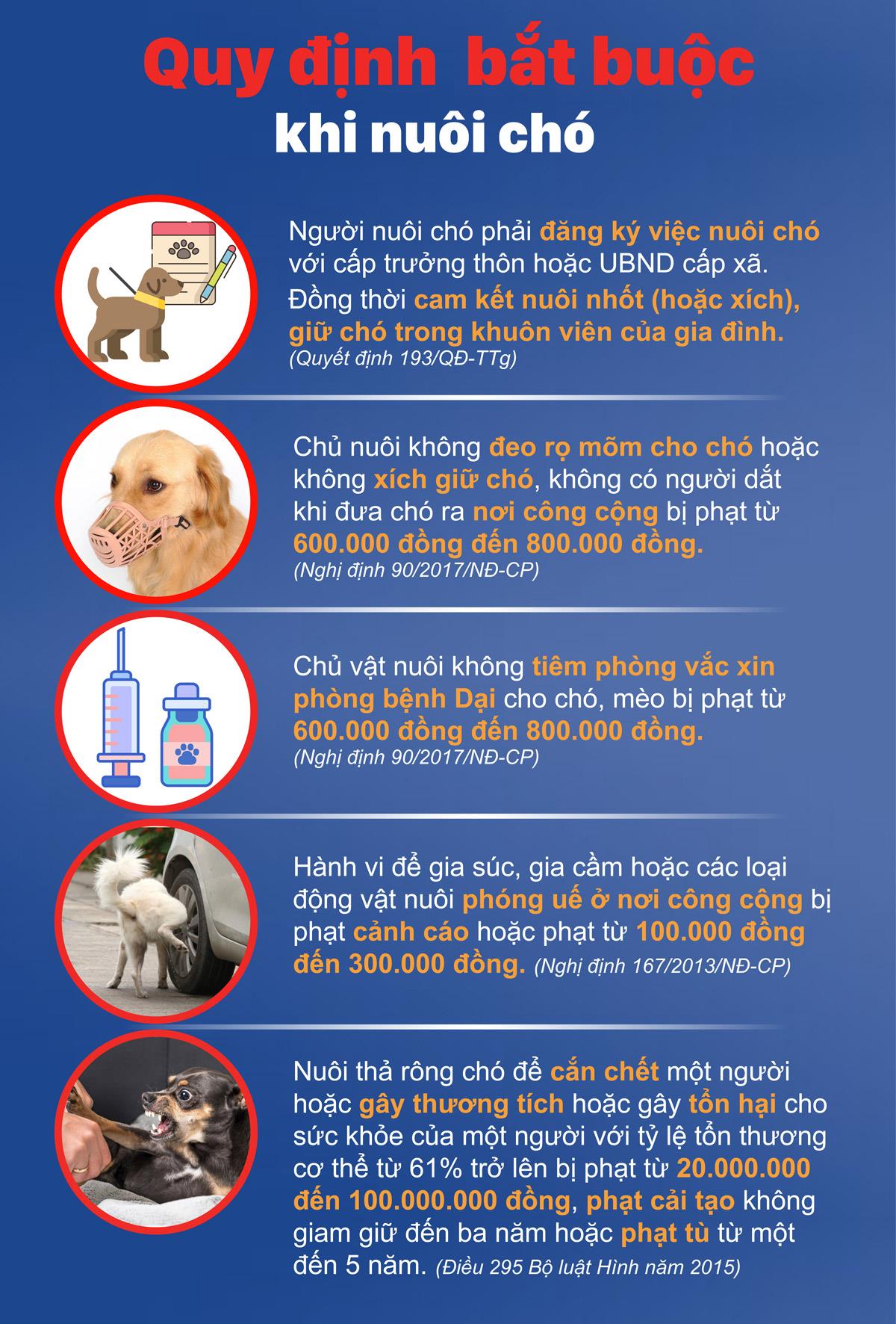Hiểm họa chó tấn công người ảnh 5