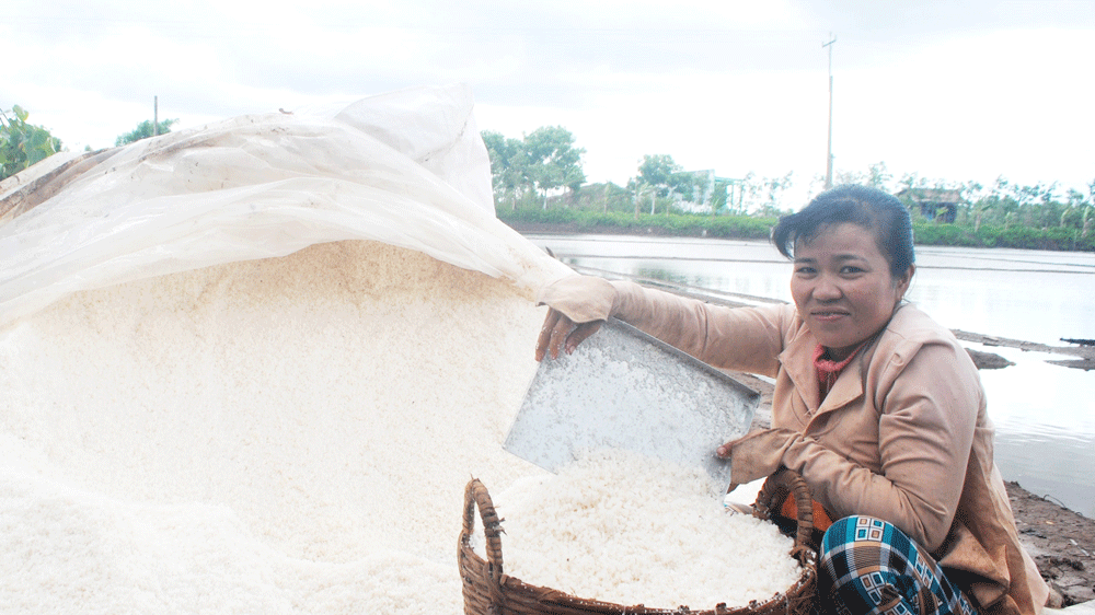 Salt farmers in Bac Lieu Province enjoy good harvest of salt. (Photo: SGGP)